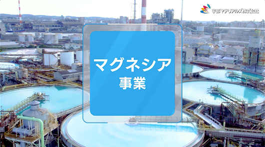 マグネシア事業